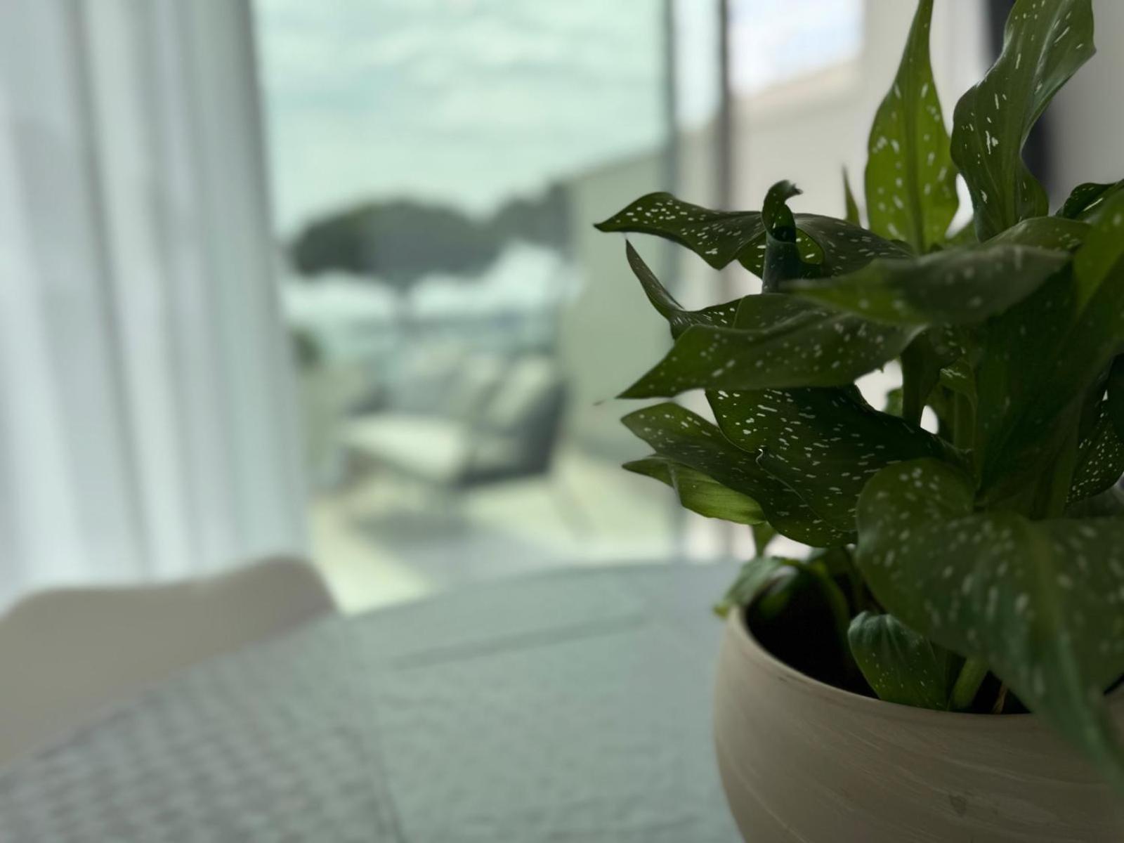 Iitana Luxury Apartment - Fronte Mare Con Vasca Idromassaggio Catane Extérieur photo